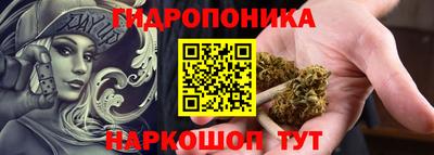 стаф Шахты