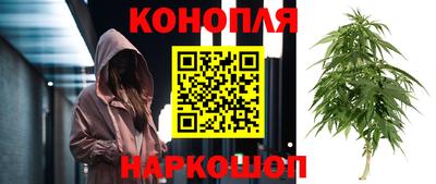 стаф Шахты